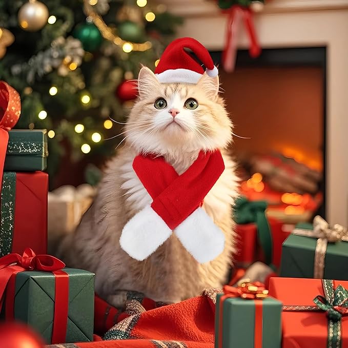 6 Pcs Christmas Santa Hat with Scarf Pet Costume Set Holiday Outfit Costumes Pets Santa Hat Scarf Set for Pet Small Cat Dog Puppy Christmas Party Costume Dress Up Supplies
