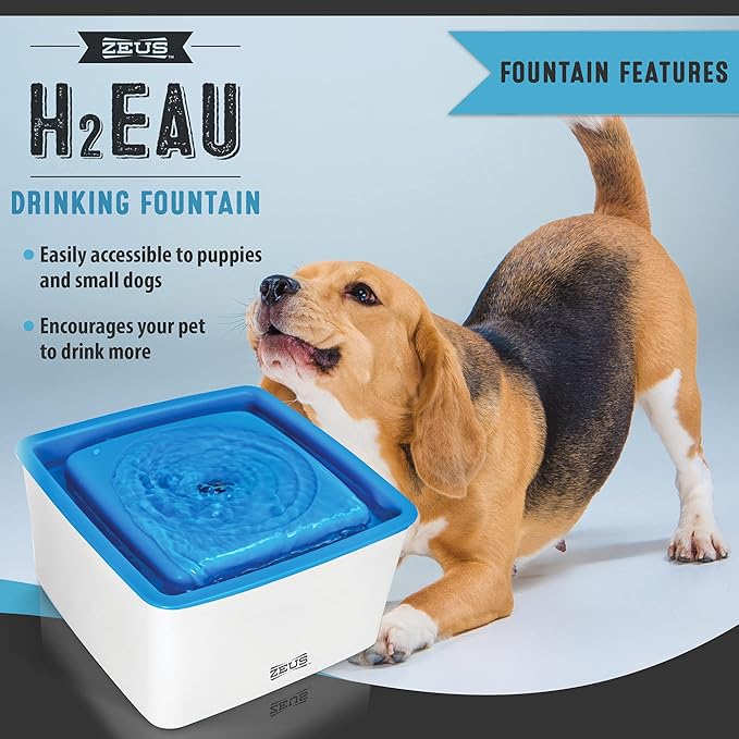 ZEUS Mini Elevated Dog Water Dispenser, Dog Drinking Water Fountain, Small Dog Breeds