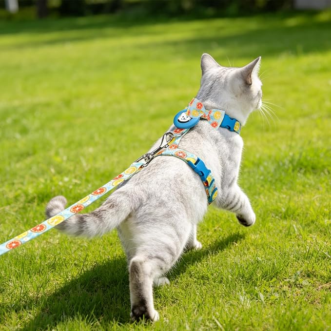 EXPAWLORER Cat Harness and Leash Set with AirTag Holder, Escape Proof Safe Lightweight Adjustable Soft Kitten Harness Set with Bowknot for Small Medium Large Cat Walking Travel Outdoor, Lemon