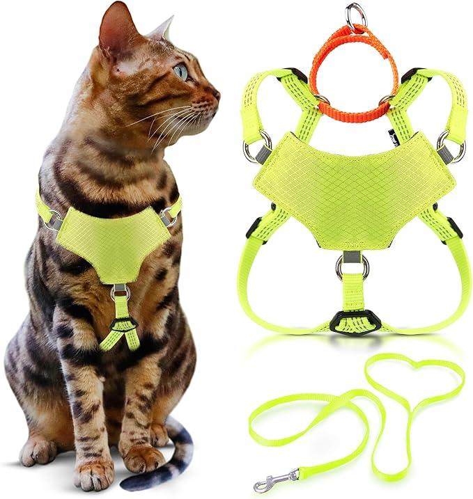 OutdoorBengal Always On™ Martingale Cat Harness and Leash Escape Proof Set – Vest for All-Day Kitten Adventures – Adult Cats - Cat Leash and Harness Escape Proof + Leash (Yellow Reflective, XL)