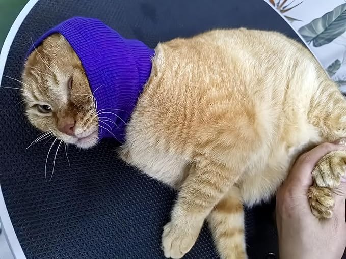 Cat Ear Cover Head Covering Ear Anxiety Relief Calming Neck Ear Covers for Cats Bath Wine+Blue-S