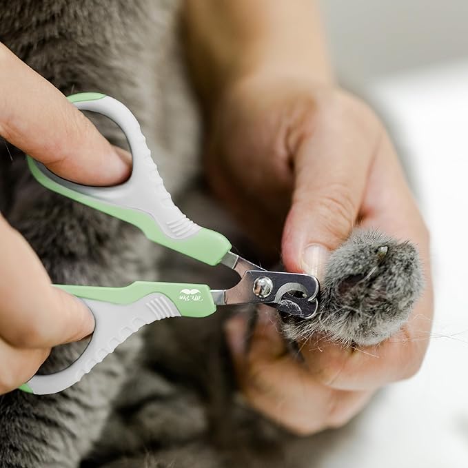 Mr. Pen- Cat Nail Clipper, Stainless Steel, Professional Sharp Cat Claw Trimmer for Small and Medium Cats, Pet Nail Clipper with Sturdy Non Slip Handle