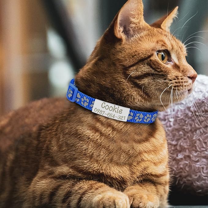 CAMAL Reflective Cat Collar Personalized, Custom Breakaway Cat Collar with Stainless Steel Pet ID Tag, Adjustable Cat Collars with Name and Phone Number for Cat Kitten Puppy