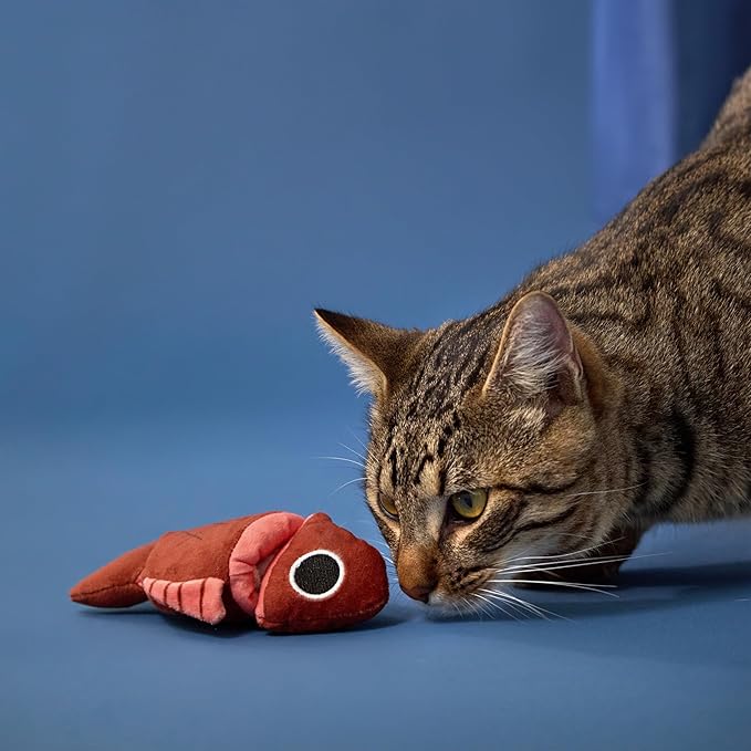 Cat Toys | Plush Fish Puzzle Stuffed Animal for Cats | Eco Friendly Interactive Cat Toys for Indoor Cats