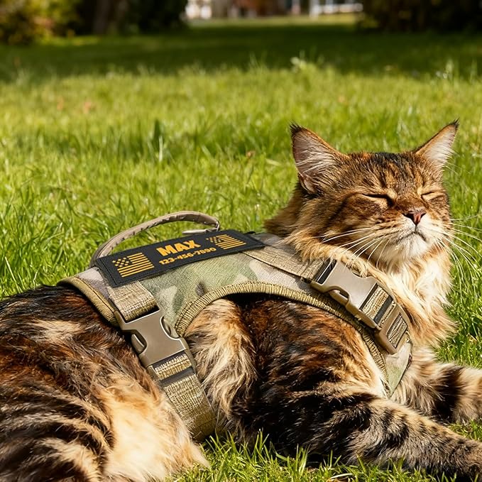 Cat Harness and Leash Escape Proof Tactical Cat Harness with Custom Patches Adjustable Soft Vest for Walking & Training Comfortable Outdoor Gear Fits Small Medium Large Cats (8-20 lbs)