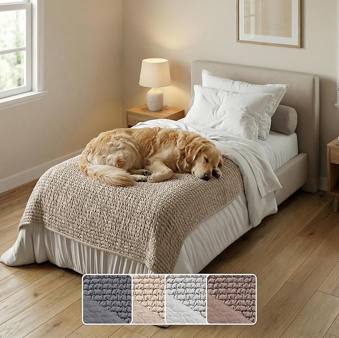 PAULATO BY GA.I.CO. Waterproof Blanket for Bed – Twin Size Cover for Incontinence – Machine Washable Stain-Resistant Protector for Couch and Sofa – Absorbent Pad - Macadamia