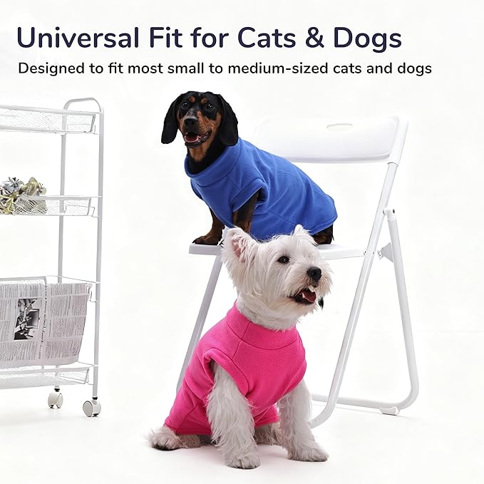 PUMYPOREITY Cat Sweater, Warm Kitten Clothes, Fleece Winter Coat for Hairless Cats, Soft Dog Fleece Vest, Cold Weather Pet Sweater for Dogs and Cats, Green, M