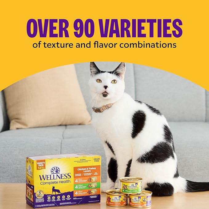 Wellness Complete Health Pate Adult Wet Cat Food,Natural,Protein-Rich,Grain Free,3 Ounce,(Turkey & Salmon),(Pack of 48)