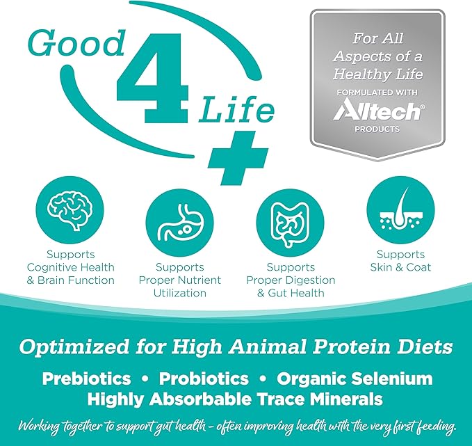 NutriSource Element Series Classic Catch Dry Cat Food, Haddock, Trout & Cod, 4LB