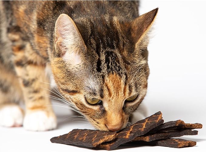 Scout and Zoe's Healthy, All Natural Fish Spears Cat Treats - Sourced and Made in The USA