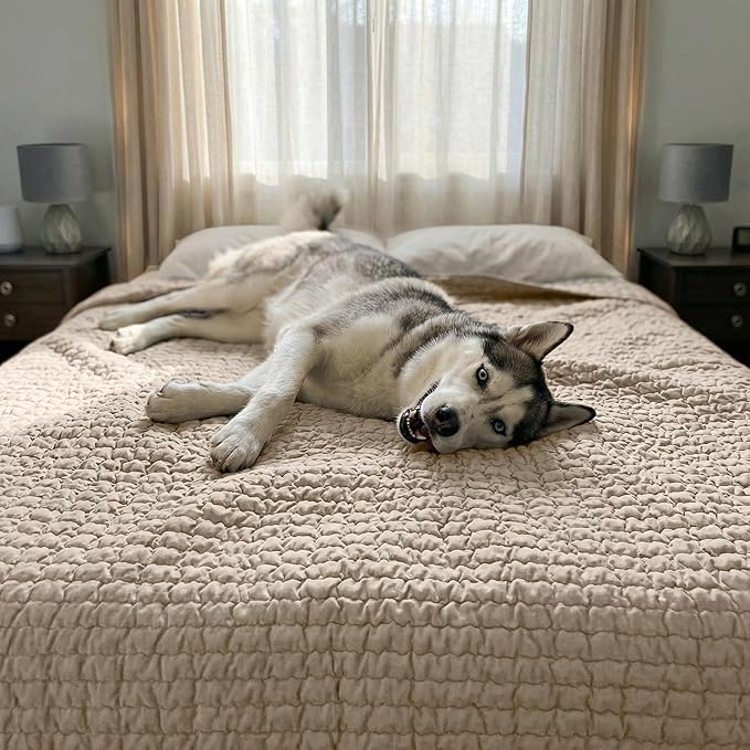 PAULATO BY GA.I.CO. Waterproof Blanket for Bed – King Absorbent Couch Cover – Machine Washable Stain-Resistant Pad for Large Sofa – Pets Cat & Dog Friendly Furniture Protector - Macadamia
