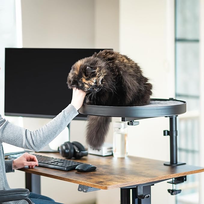 Life Finds Clamp-on Round Cat Bed for Home Office Desk, Height Adjustable Circular Kitty Perch with Full Rotation, Holds 44 lbs, Black, LF-CCB1