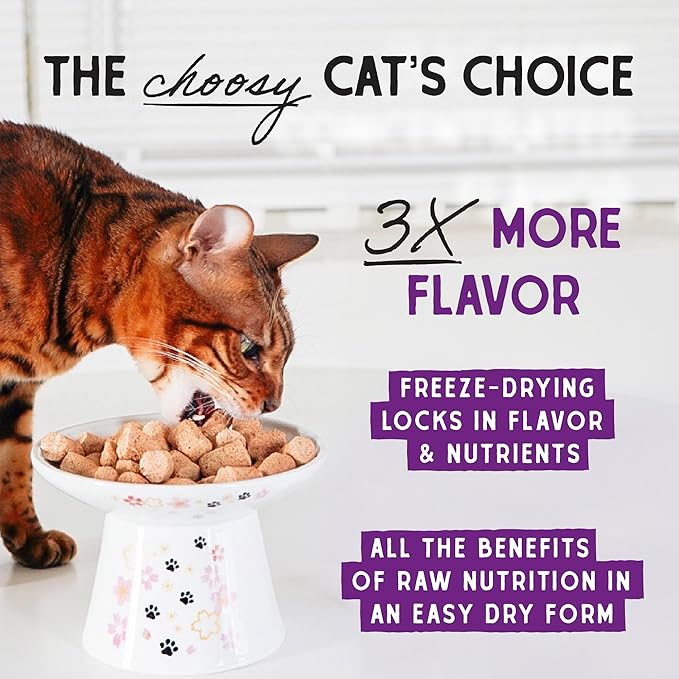 Stella & Chewy's Freeze-Dried Raw Cat Dinner Morsels - Premium Salmon & Chicken Recipe with 98% Wild-Caught & Cage-Free Protein - Natural Grain-Free Cat & Kitten Food - Made in USA - 1 oz (Pack of 2)