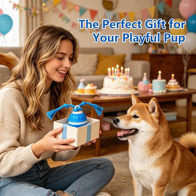 Interactive Dog Ball, 360° Self-Moving Dog Toy with LED Lights & Squeaker, Automatic Fetch Toy for Boredom & Training, USB-C Rechargeable Smart Pet Toy for Small Medium Dogs & Cats