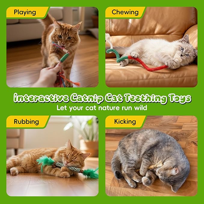 GBSYU Silvervine Sticks for Cats & Cat Chew Rope Toy with Refillable Natural Catnip Bag for Teeth Cleaning, Interactive Cat Catnip Toys for Indoor Cats, Kitten Teething Toys for All Breeds (4Pcs)
