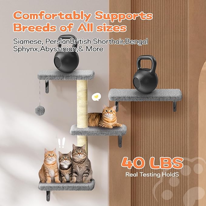 Cat Wall Shelves for Large Cats, Stable & Safe Kitty Walls Furniture Set for 40LBS Cats with Wooden Cat Climber,House, Bridge, Tree, Steps, and Scratcher for 16 Inch Drywall (Grey, 5-in-1)