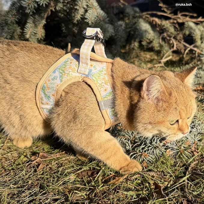 Lucy & Co. Sunshine and Daffodils Step-in Cat Harness and Leash Set Bundle, Escape Resistant Comfort Fit, Medium
