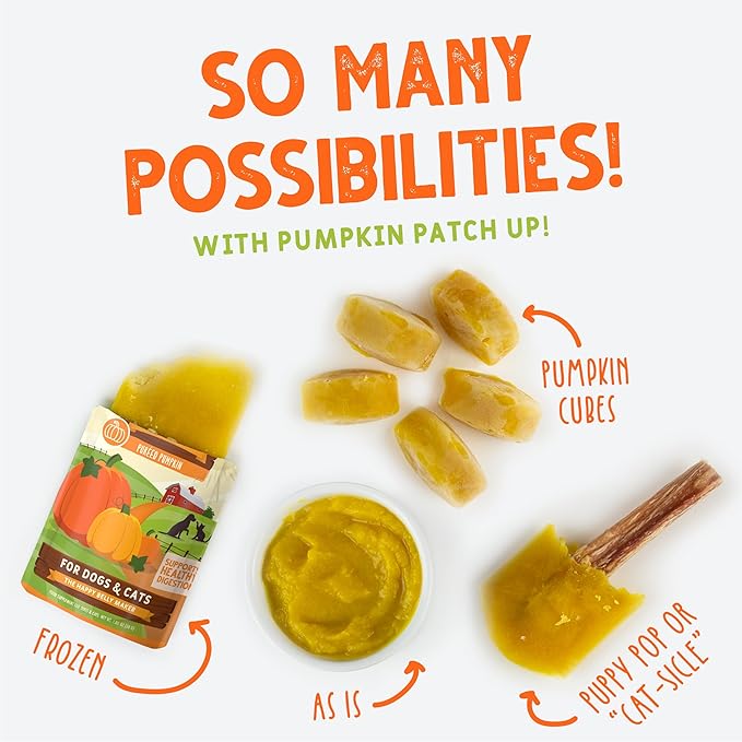 Weruva Pumpkin Patch Up!, Pumpkin Puree Pet Food Supplement for Dogs & Cats, 2.80oz Pouch (Pack of 12)