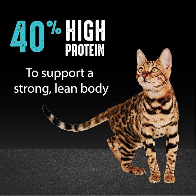 CRAVE Grain Free Adult High Protein Natural Dry Cat Food with Protein from Salmon & Ocean Fish, 2 lb. Bag