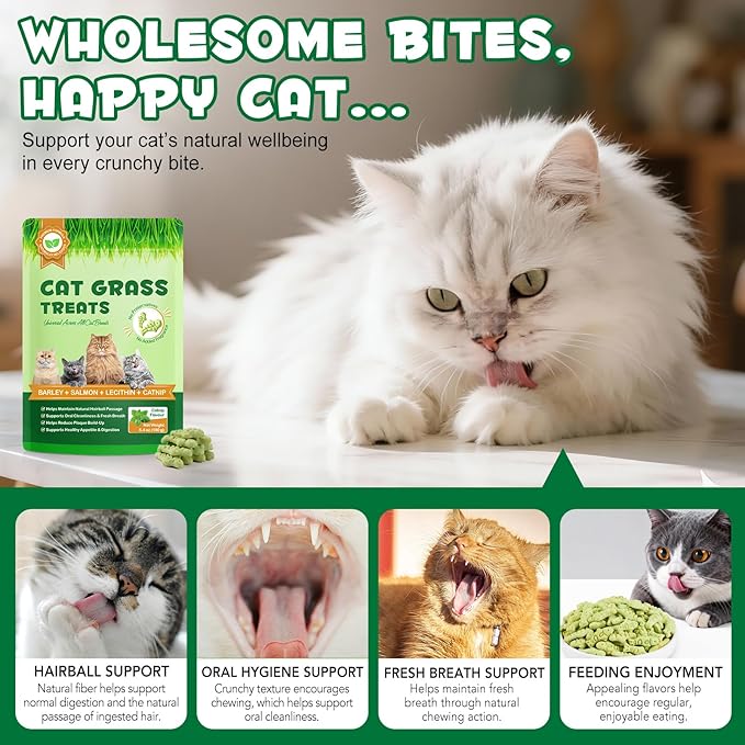 180g/6.4oz Cat Grass Treats for Hairball Control, Natural Teeth Cleaning & Fresh Breath, Crunchy Catnip Flavored Biscuits with Barley Grass, Cat Training Rewards for All Breeds