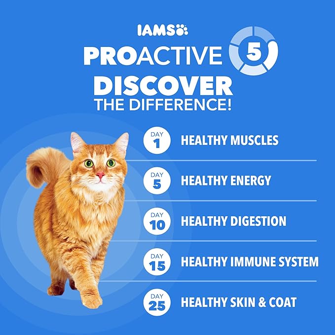 IAMS Healthy Enjoyment Dry Cat Food Chicken & Salmon Recipe, Cat Food Dry Recipe, 6 lb. Bag