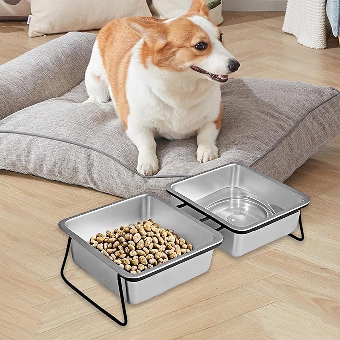 Elevated Pet Bowl Watering and Feeding with Stand Large Ergonomic Tilted Pet Snack Container Anti Vomiting for Small Dogs, Double
