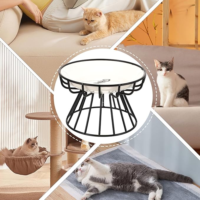 TOYANDONA Elevated Ceramic Cat Bowl Set with Neck Guard, Non-tip Black Iron Rack, Fishbone Plate Design for Indoor Pet Feeding and Watering