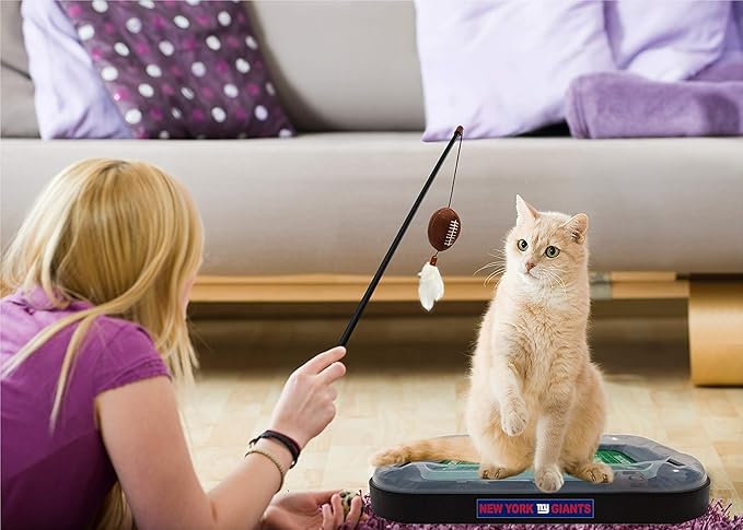 Pets First New York Giants Cat Scratcher