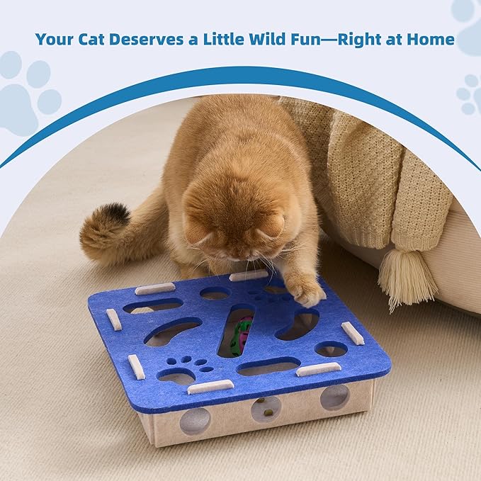 Interactive Cat Puzzle Feeder Toy - Felt Maze Box with 3 Jingle Balls for Indoor Cats, Kittens to Adults - Mental Stimulation, Slow Feeding & Fun Exercise Encourages Natural Hunting Instincts