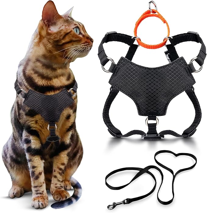 OutdoorBengal Always On™ Martingale Cat Harness and Leash Escape Proof Set – Vest for All-Day Kitten Adventures – Adult Cats - Cat Leash and Harness Escape Proof + Leash (Black, XL)