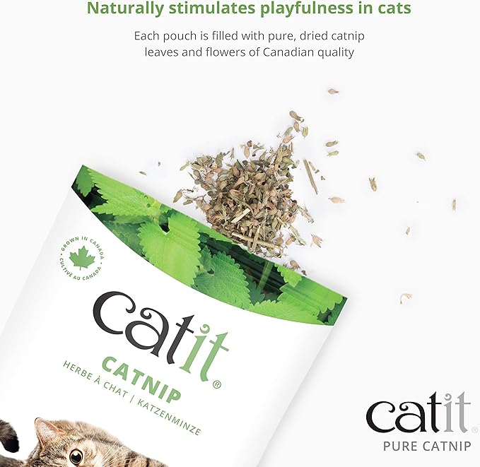 Catit Dried Catnip for Stimulating Indoor and Outdoor Cats, 2 oz. (Pack of 2)