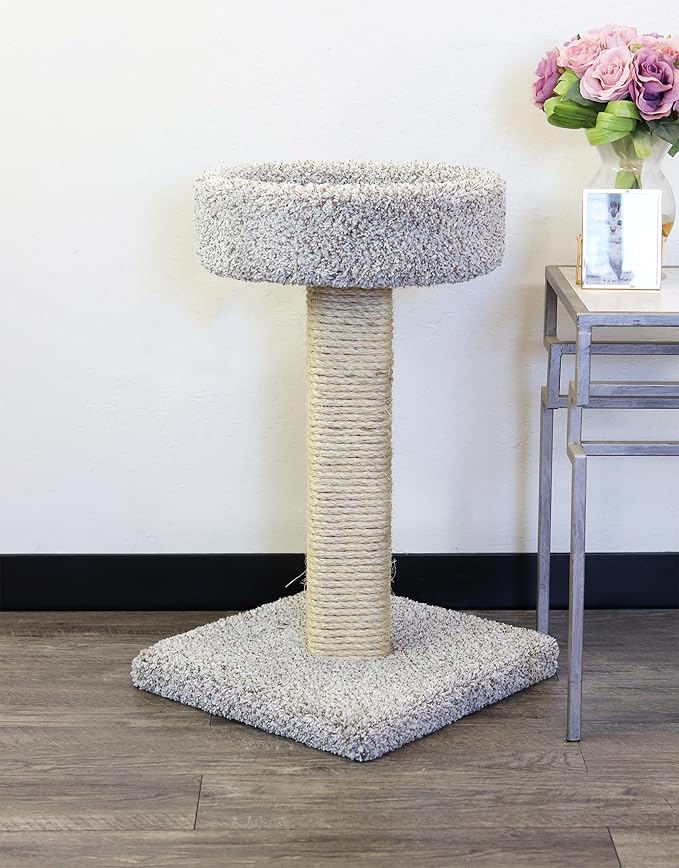 2-Pack New Cat Condos Cat Scratching Post with Sleeping Perch
