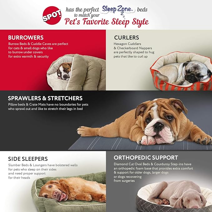 SPOT Sleep Zone Small Pet Bed - High Wall, Reversible Cushion Bed for Indoor Cats & Small Dogs, Durable Faux Suede, Machine Washable for Pets Under 10lbs and 15 inches Long - 18x16in, Sage Green