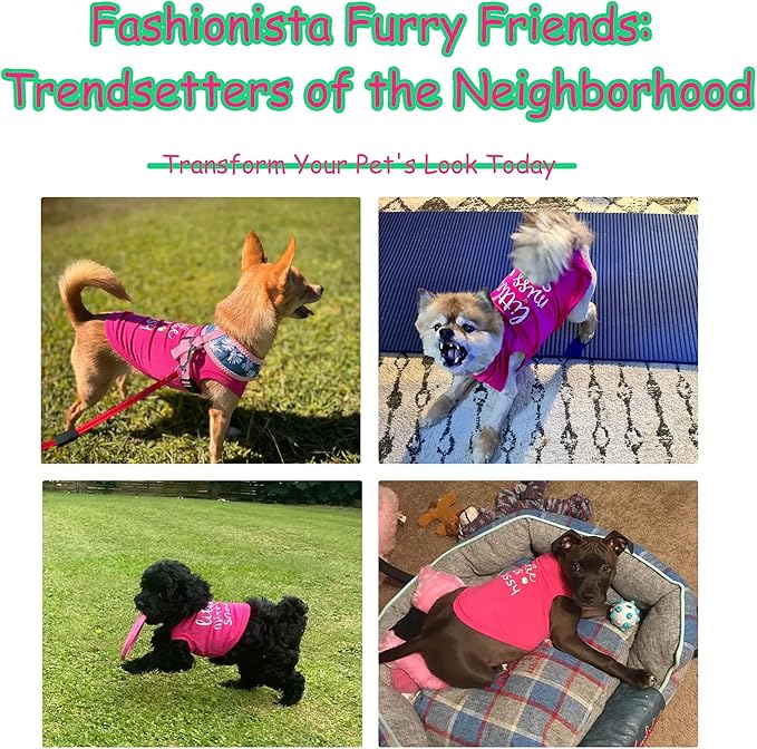 Paiaite Dog Clothes Fashionable Sleeveless Pet Vest: 'Little Miss Sassy' Printed Cotton Dog Shirt, Ideal for Small, Medium, and Large Breeds, Ensuring Comfort and Breathability Orange Pink XL