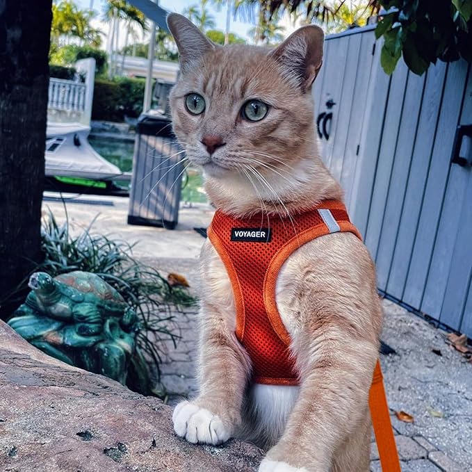 Voyager Step-in Pet Harness - All Weather Mesh, Adjustable Step in Harness for Cats and Dogs by Best Pet Supplies - 307S Orange, M