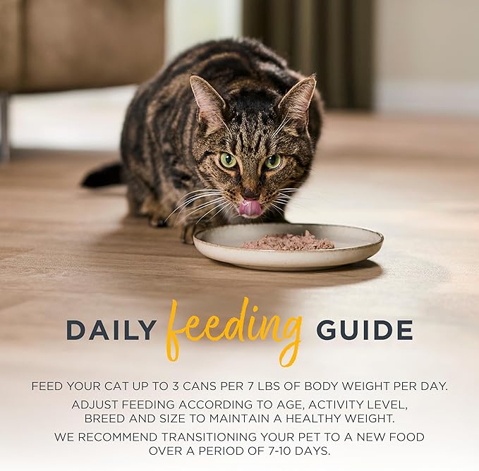 Reveal Entrées Natural Wet Cat Food, Grain-Free with Added Vitamins & Minerals, Carrageenan-Free and High Protein, Chicken Variety Selection in Broth (12 x 2.47 oz cans)