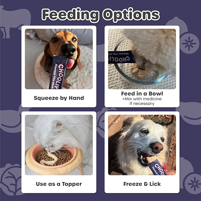 Choolip Squeeze Vita Stick Brain Support Lickable Cat and Dog Treats, 49-Count – Beef and Chicken Soft Puree with DHA, CoQ10 & Vitamin E for All Life Stages
