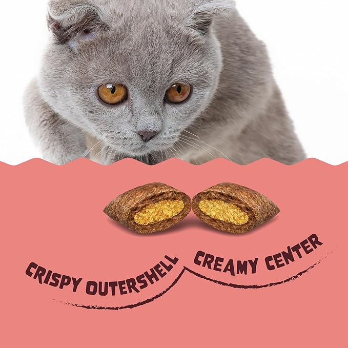 Amazon Basics Crunchy & Creamy Salmon Flavor Cat Treats 16 oz. Bag