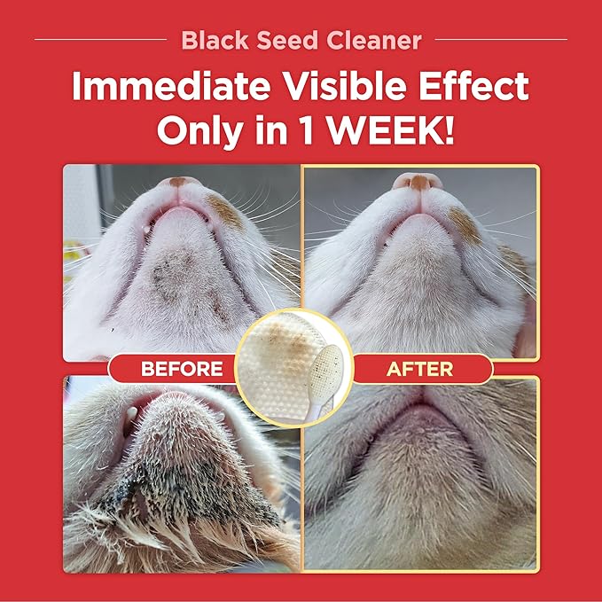 JAYU PET Black Seed Cleaner - Cat Chin Acne Treatment, Non-Toxic Hypoallergenic Cleanser, Cat Acne Chin Treatment, Remove Cat Chin Blackheads, Improves Skin Health 4.3 fl.oz (125ml)