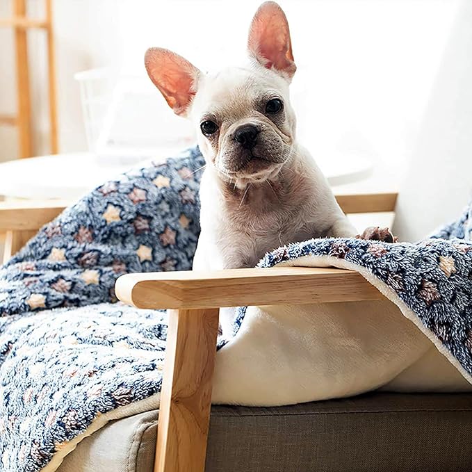 FJWYSANGU Pet Blanket Premium Fluffy Flannel Cushion Soft and Warm Mat for Dogs Cats(Star/Blue,Large)