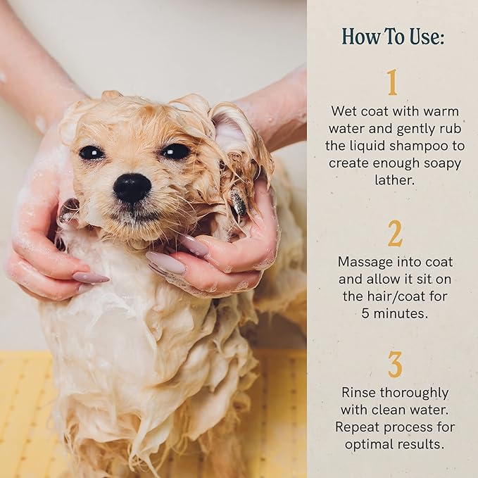 J.R.LIGGETT'S Natural Liquid Dog Shampoo for Sensitive Skin - 100% Detergent-Free, Non-GMO, Tear-Free Formula Gently Calms Dry, Itchy Skin - Safe for Puppies and for Regular Use - 8.45 fl oz