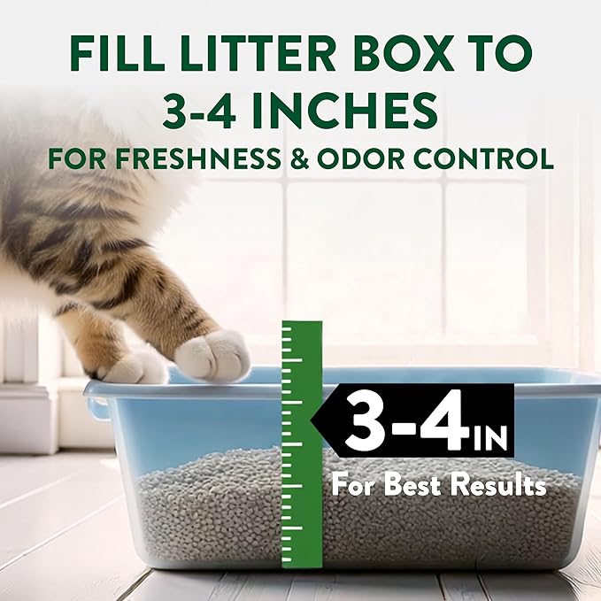 ARM & Hammer Plant Power Lightweight Plant-Based Clumping Cat Litter for Multi-Cat Homes, 14-Day Odor Control, Highly Absorbent Natural Grain Formula, Unscented 15 Lbs