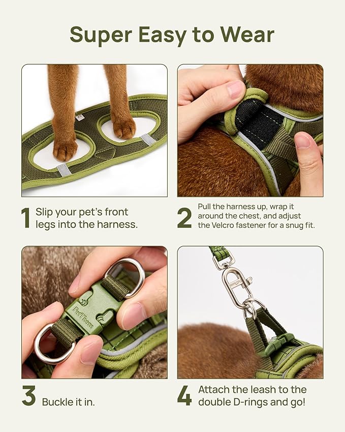 PetThem Upgraded Cat Harness and Leash Set - Step-in Escape Proof Adjustable Cat Harness, Comfortable Soft Lightweight, Reflective Harness for Walking, Travel, Camping (Growling Crocodile, XS)