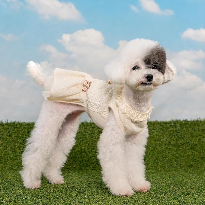 Pinkaholic New York Majesty Dog One-Piece Dress Trendy Fashionable Cute Elegant Dog Apparel for Small Dogs, Ivory, Medium