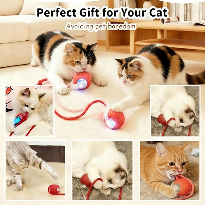 Rechargeable Smart Rolling Cat Ball, Automatic Interactive Cat Toy with 3 Modes, LED Light & 3 Replaceable Accessories, Indoor Cat Exercise Toy for Kittens & Adult Cats, for Boredom Relief Gray