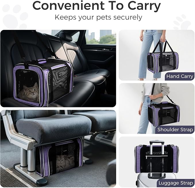 BAGLHER Pet Travel Carrier, Cat Carriers Dog Carrier for Small Medium Cats Dogs Puppies, Airline Approved Small Dog Carrier Soft Sided, Collapsible Puppy Carrier, Purple