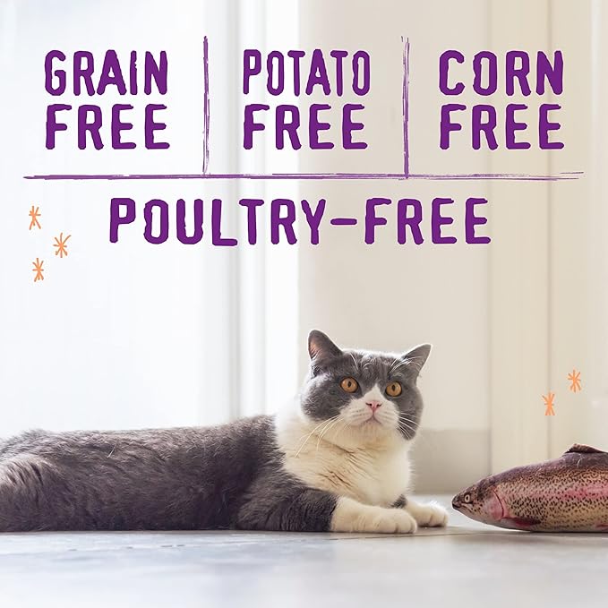 Stella & Chewy's Raw Blend Premium Kibble Cat Food – Grain Free, Protein Rich Meals – Wild-Caught Fish Recipe – 5 lb. Bag