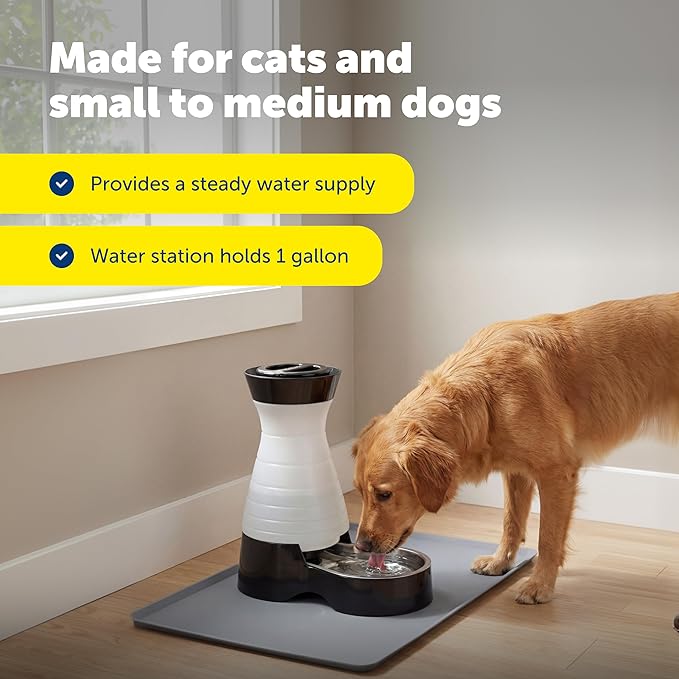 PetSafe Healthy Pet Food & Water Stations - Cat & Dog Food Storage Container - Filter Included with Waterer - Keeps Food & Water Fresh - Suitable for Small, Medium, & Large Dogs - Stainless Steel Bowl