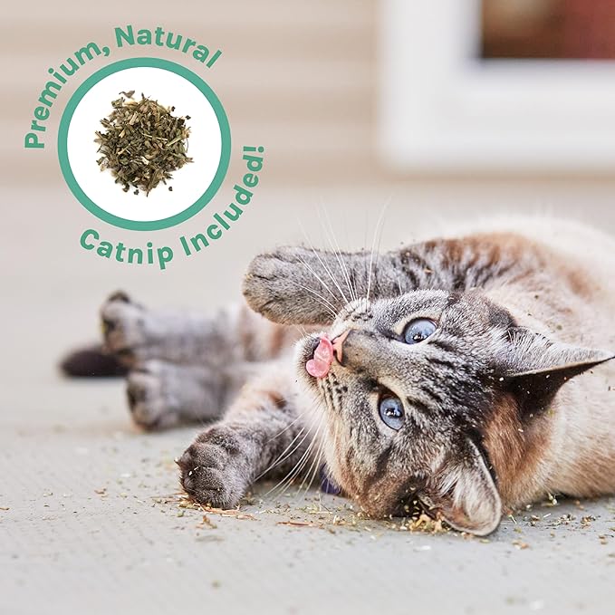 Kitty City 3‑Pack Corrgate Cat Scratcher Pads with Catnip - Horizontal Nail Filing Scratch Mat, Durable Couch Lounger Bed Alternative, Cat Scratch Toy - Cute Fish & Cats Design, Large 18.5” x 9.5”