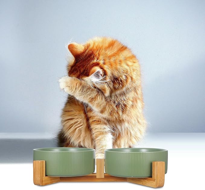 Ceramic Cat and Dog Feeding Bowl Set with Wood Stand, Non-Slip Raised Double Bowls for Pets, Matte Green Finish, Suitable for Indoor Feeding and Watering